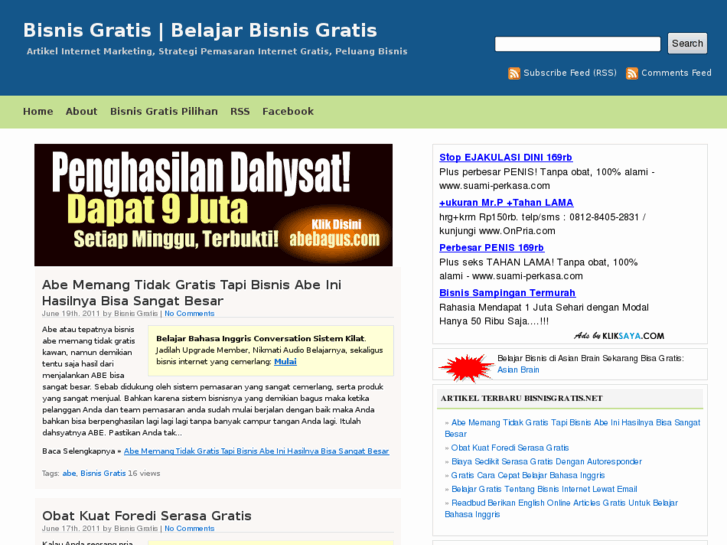 www.bisnisgratis.net