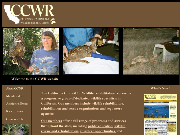 www.ccwr.org