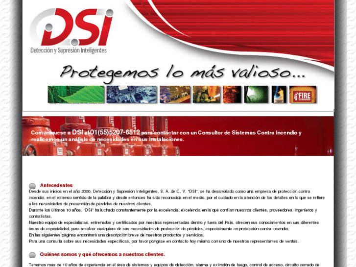 www.dsimexico.com