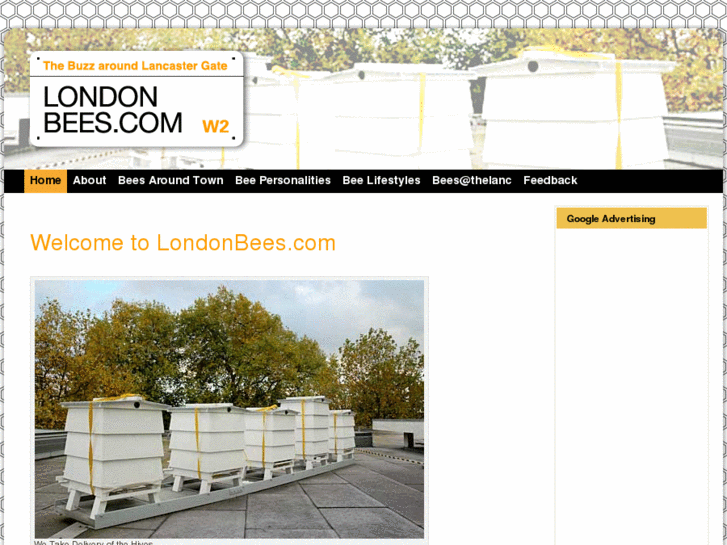 www.londonbees.com