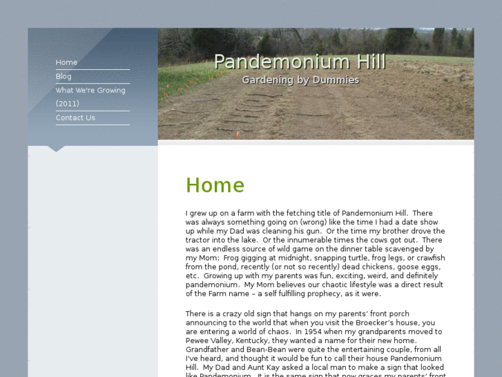 www.pandemoniumhill.com