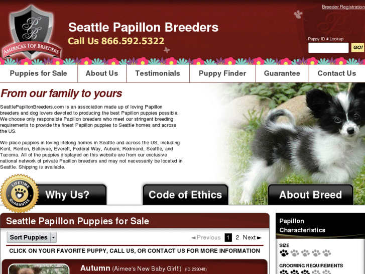 www.seattlepapillonbreeders.com