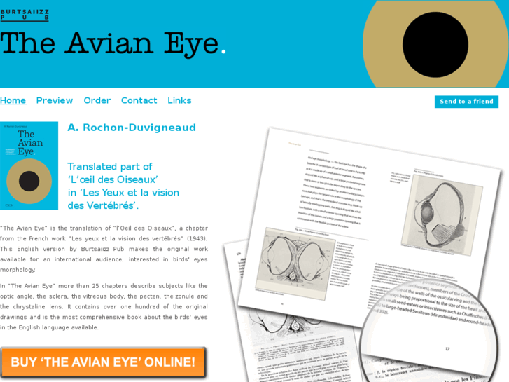 www.theavianeye.com