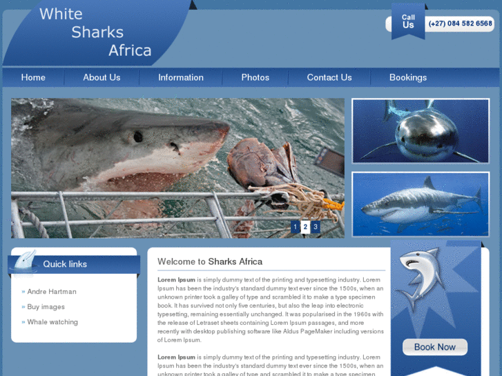 www.whitesharksafrica.com