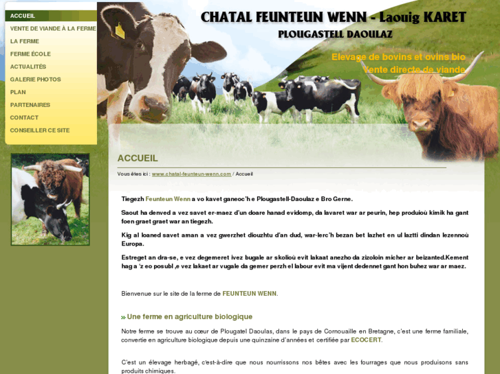 www.chatal-feunteun-wenn.com