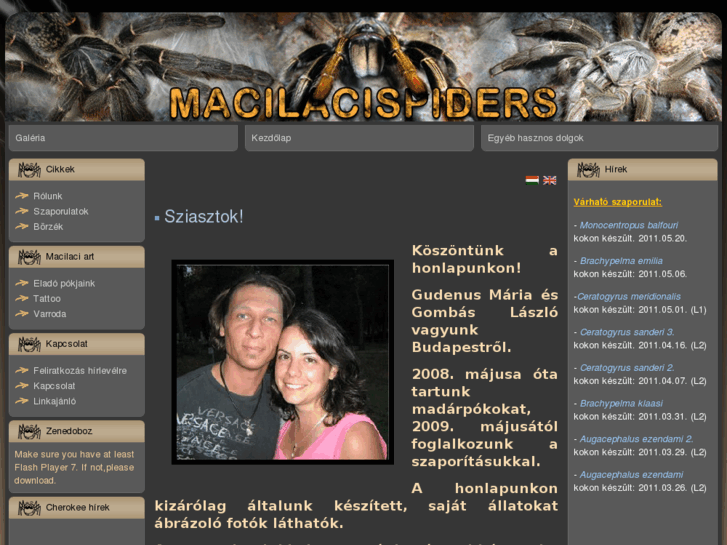 www.macilacispiders.hu