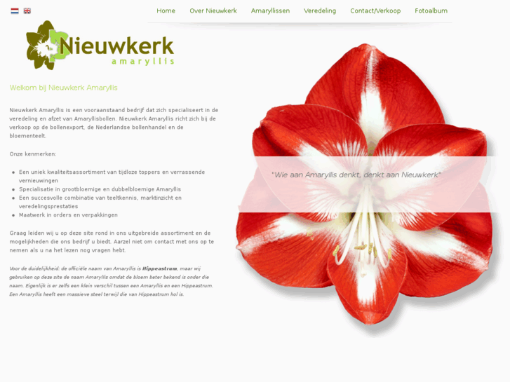 www.nieuwkerk-amaryllis.com