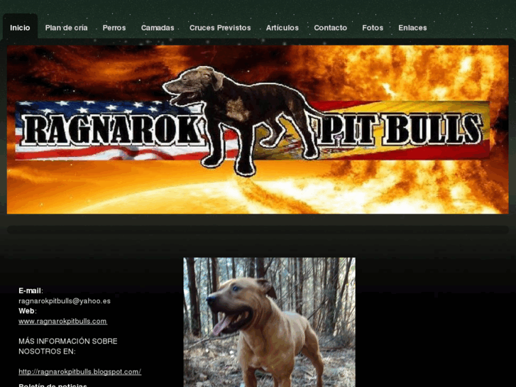 www.ragnarokpitbulls.com