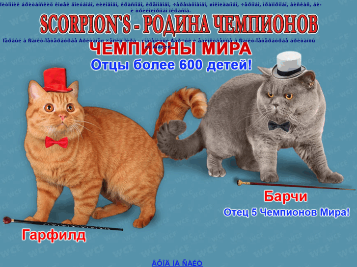 www.scorpion-cats.ru