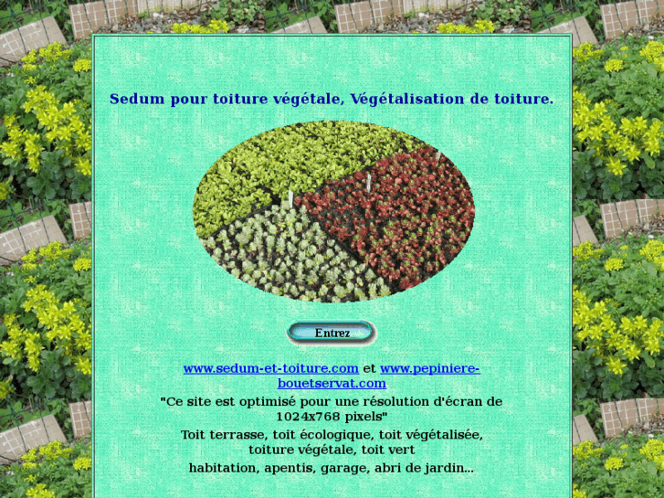 www.sedum-et-toiture.com