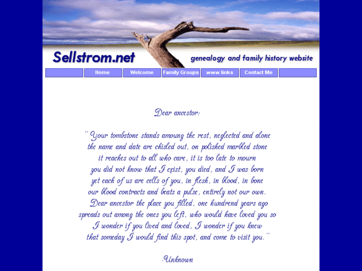 www.sellstrom.net