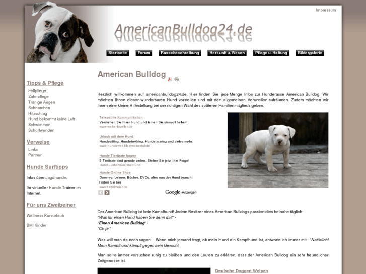 www.americanbulldog24.de