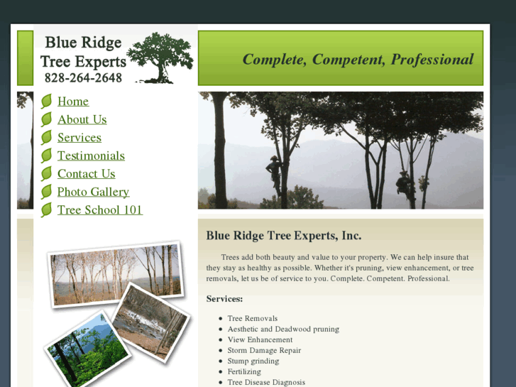 www.blueridgetreeexperts.com