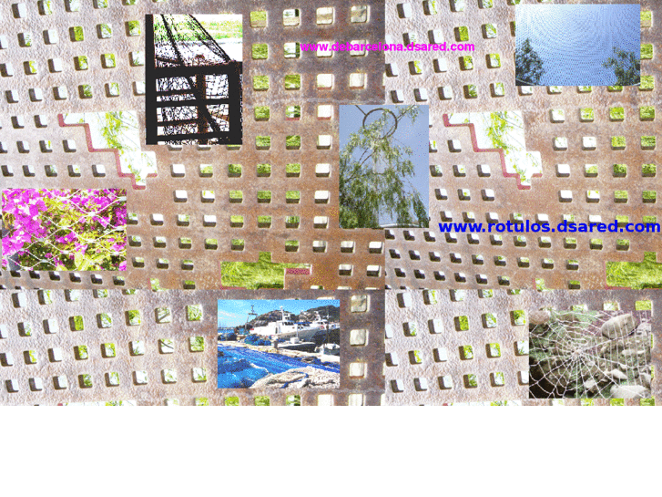 www.dsared.com