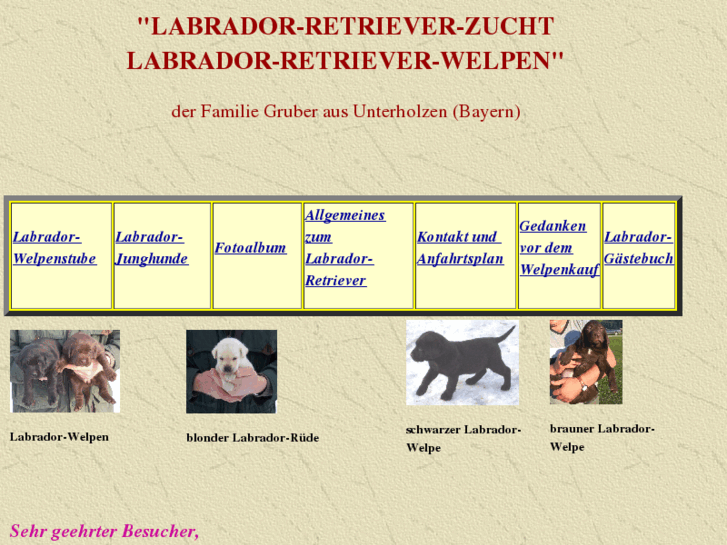 LabradorRetrieverZucht.de LabradorRetrieverZucht, Labrador