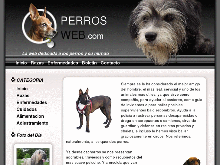 www.perrosweb.com