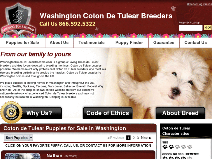 www.washingtoncotondetulearbreeders.com