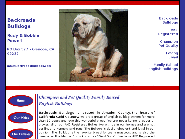 www.backroadsbulldogs.com