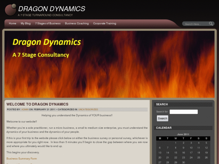 www.dragondynamics.net