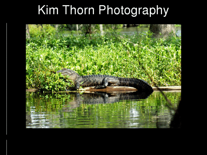 www.kimthornphotography.com