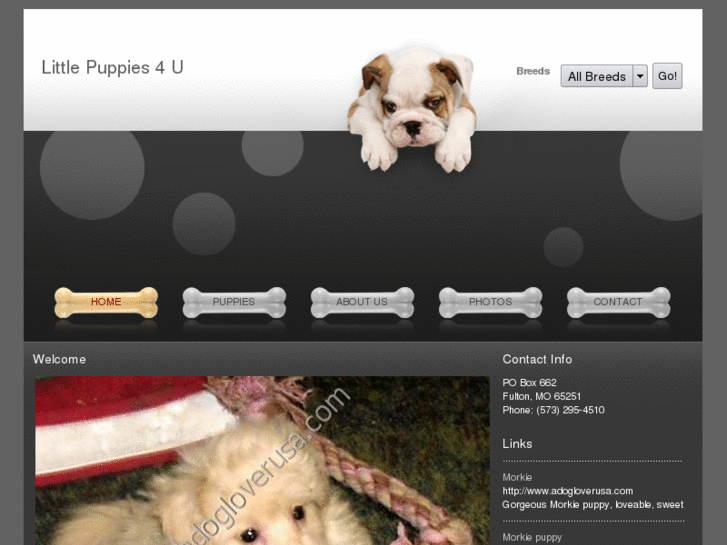 www.littlepuppies4u.com
