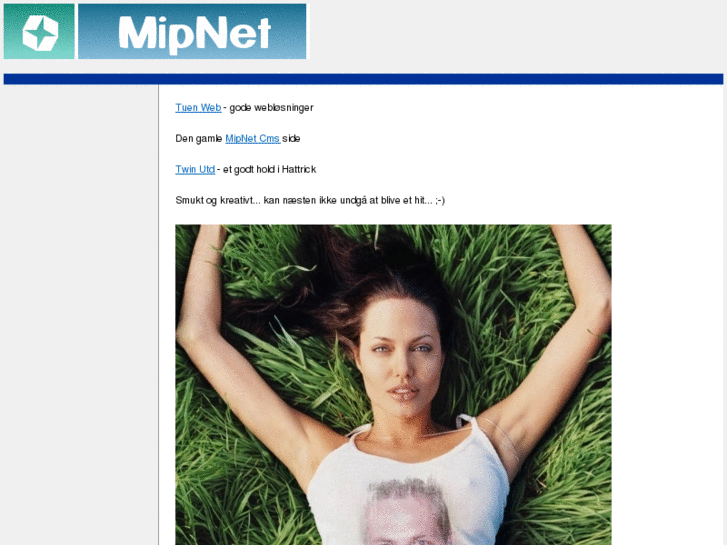 www.mipnet.dk