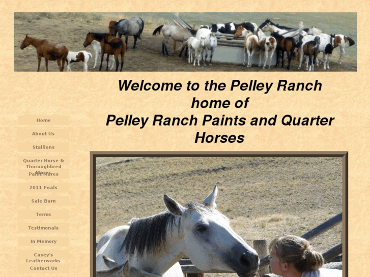 www.pelleyranch.com