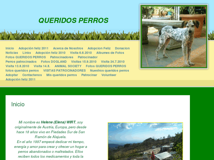 www.queridosperros.com