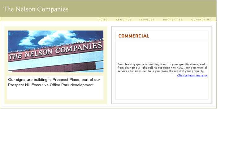 www.thenelsoncompanies.com