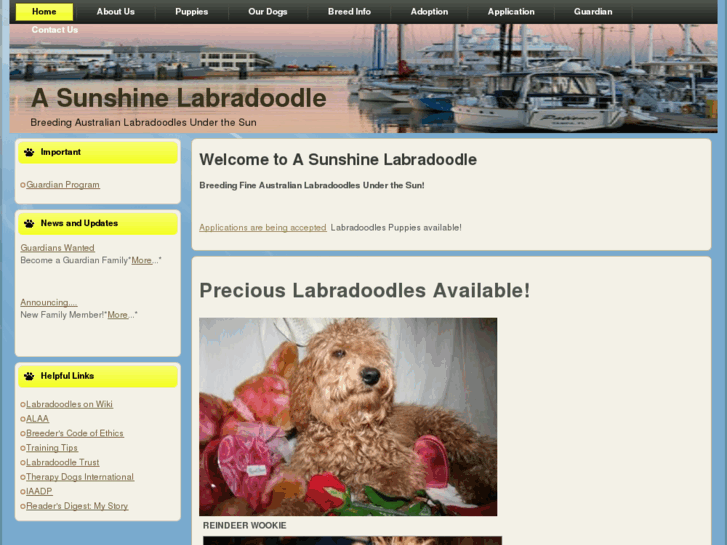 www.asunshinelabradoodle.com