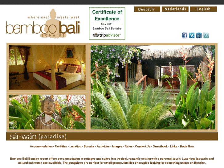 www.bamboobalibonaire.com