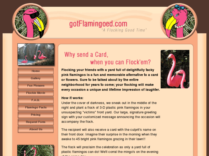 www.gotflamingoed.com