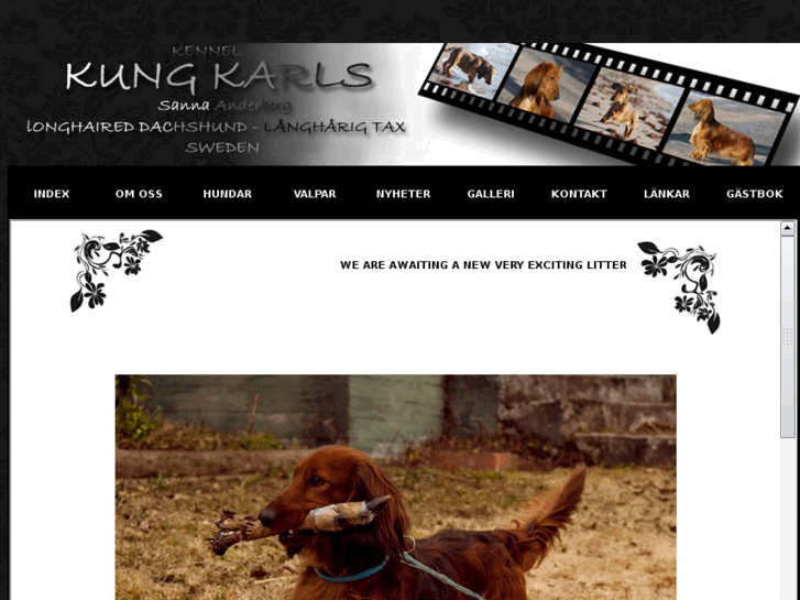 www.kungkarls.com