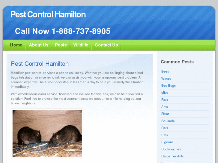 www.pestcontrolhamilton.com