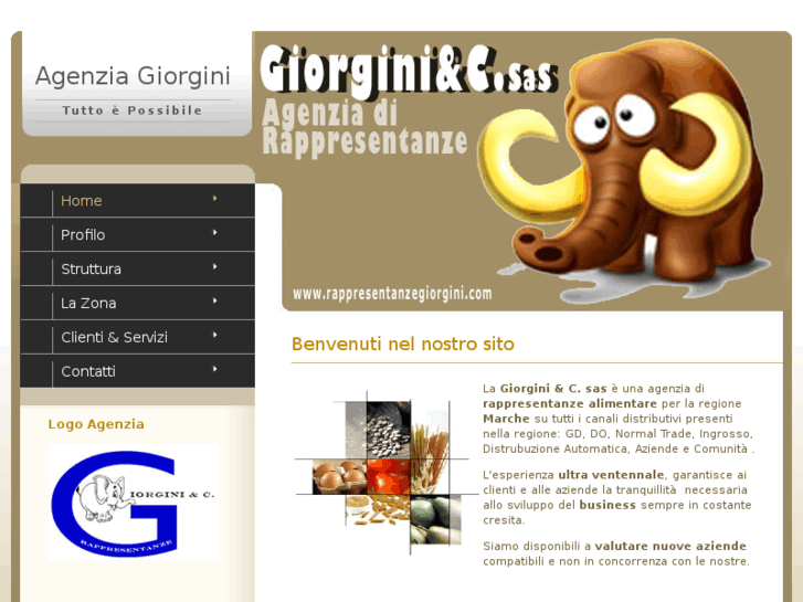 www.rappresentanzegiorgini.com