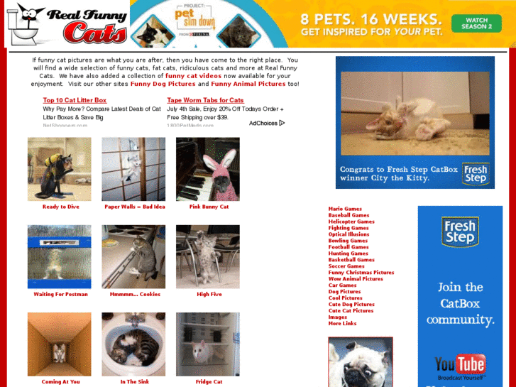 www.realfunnycats.com