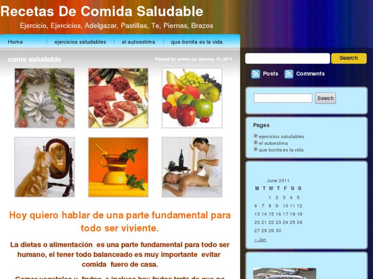 www.recetasdecomidasaludable.com