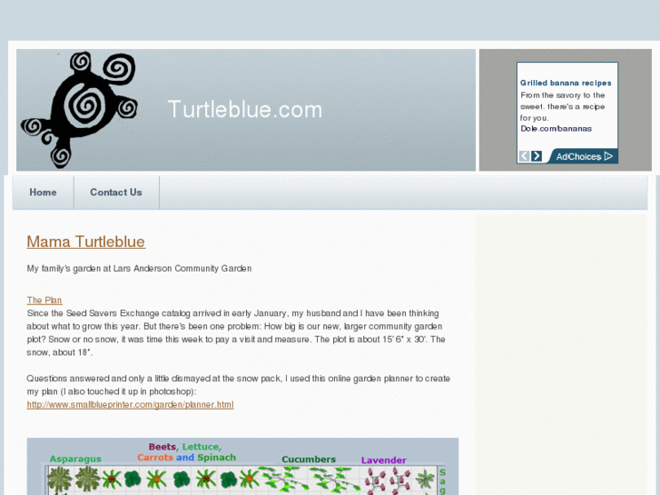 www.turtleblue.com