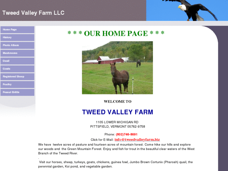 www.tweedvalleyfarm.biz