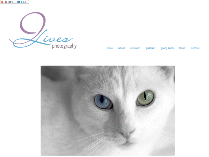 www.9livesphotography.com