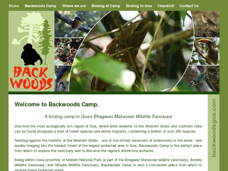 www.backwoodsgoa.com