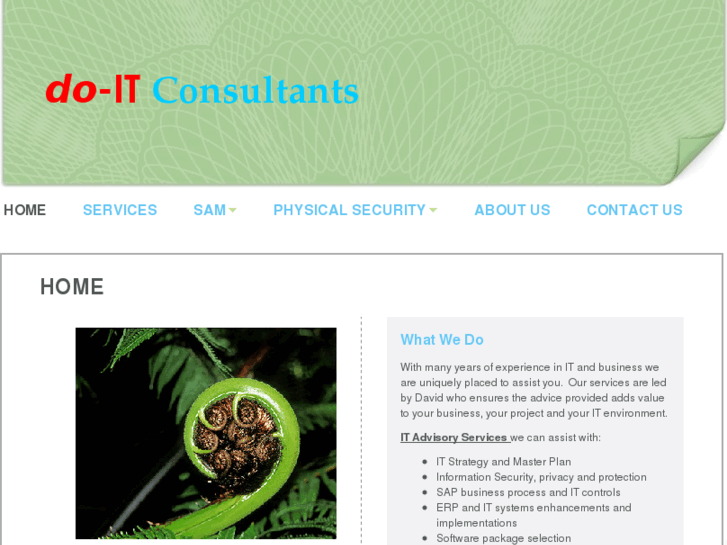 www.do-itconsultants.com