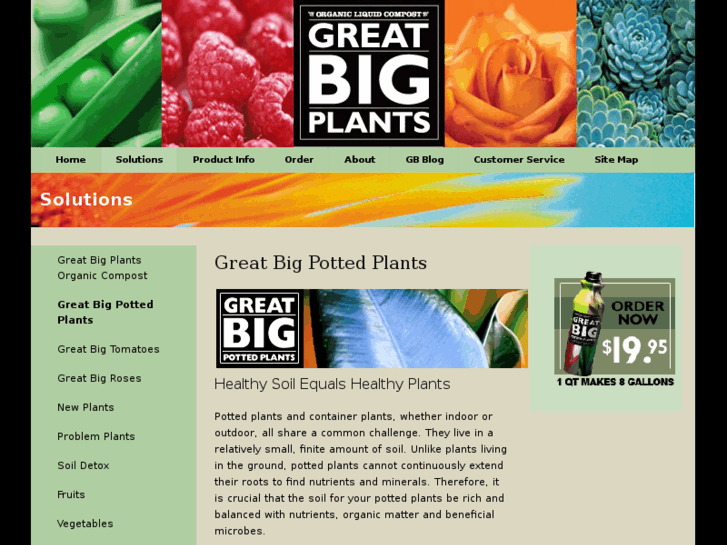 www.greatbigpottedplants.com