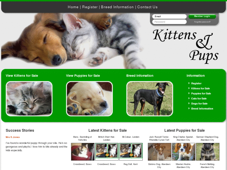 www.kittensandpups.co.uk