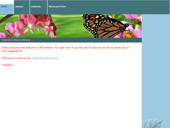 www.sherrybilello.com