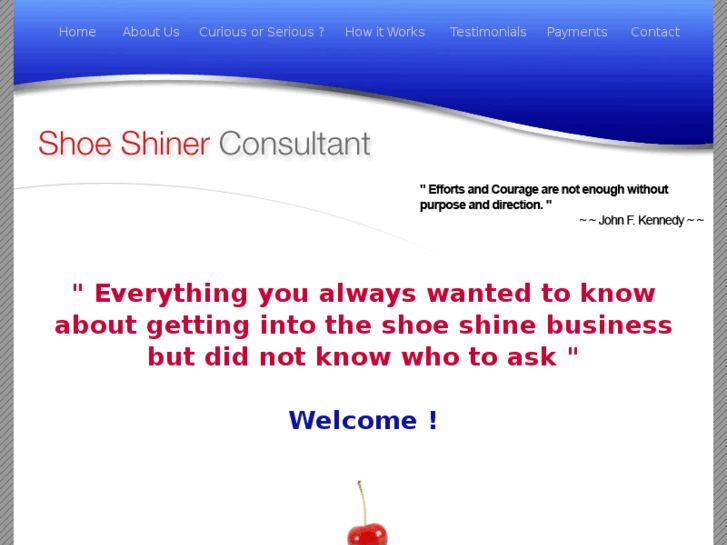 www.shoeshineconsultant.com