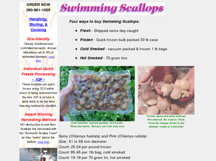 www.swimmingscallops.com