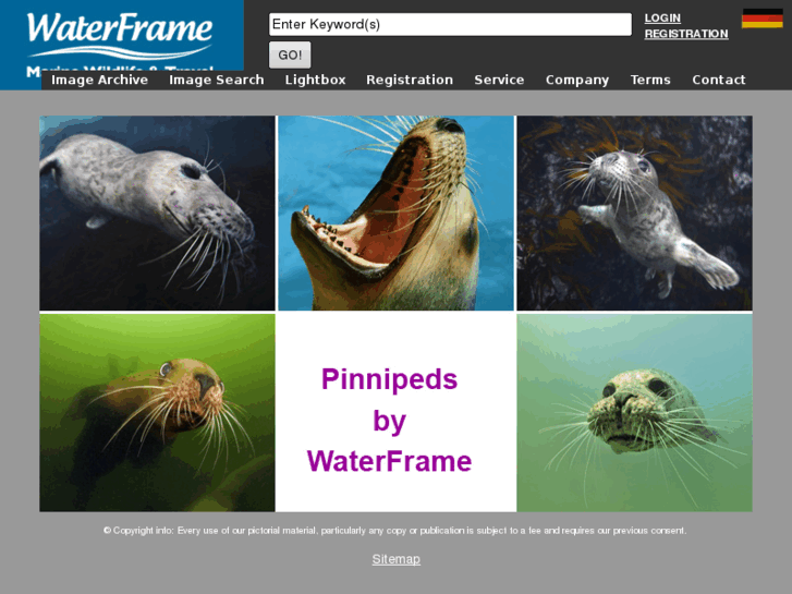 www.water-frame.com