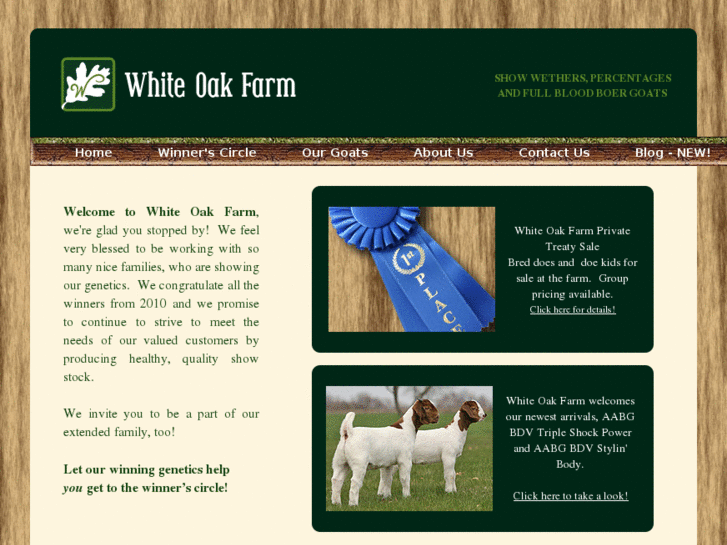 www.whiteoakboergoats.com