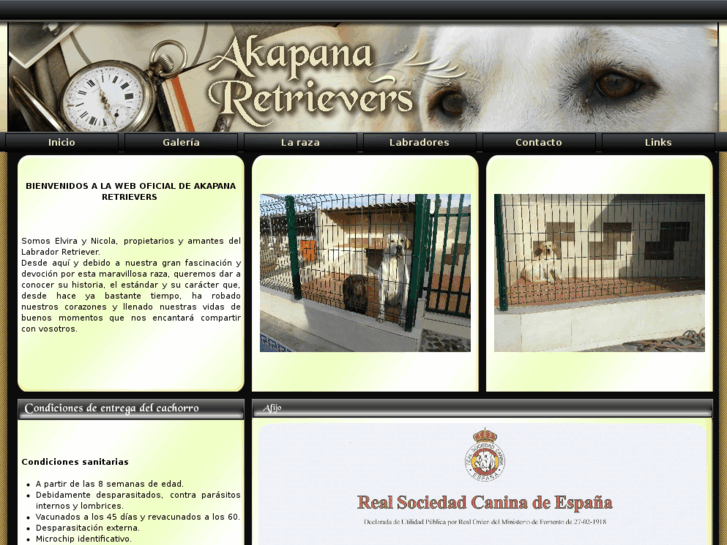 www.akapana-retrievers.com